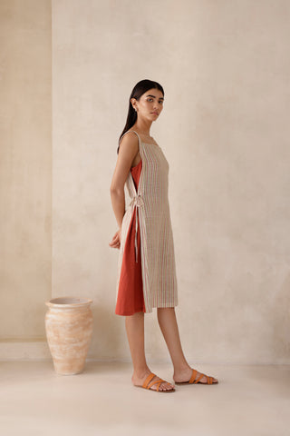 Raya check dress