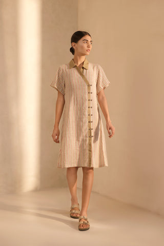 Terra check dress